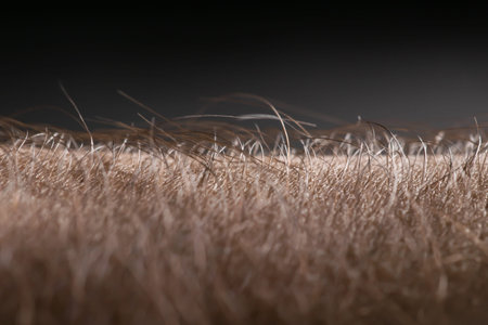 Human skin with hair on black background. goose bumps.の写真素材