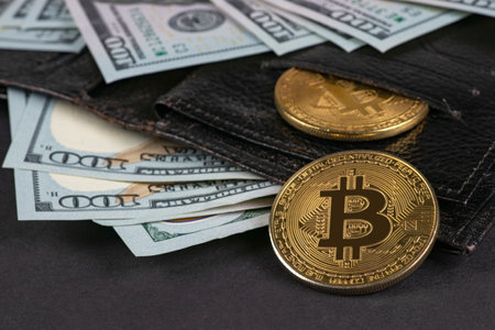 Golden bitcoins and hundred dollar bills in leather wallet. Bitcoin with dollar in purse. Profit from mining cryptocurrencies. Miner with dollars and gold bitcoin. business, commercialの写真素材