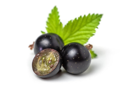 Group of black currants with leaves, one sliced in half .の写真素材