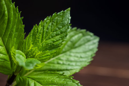 Fresh mint on wooden table copy space. selective focus.