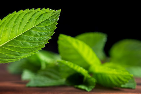 Fresh mint on wooden table copy space. selective focus.