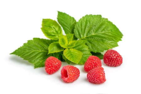 Isolated berries. Pile of raspberry fruits with leaves isolated on white background.
