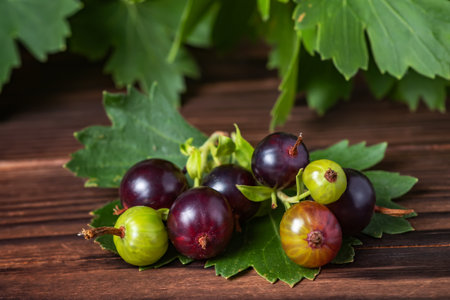 Josta with leaves hybrid gooseberry and black currant on wooden background.の写真素材