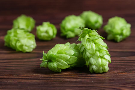 Fresh green hops on a wooden table. close up.