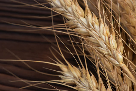 Wheat ears on the wooden background. top view