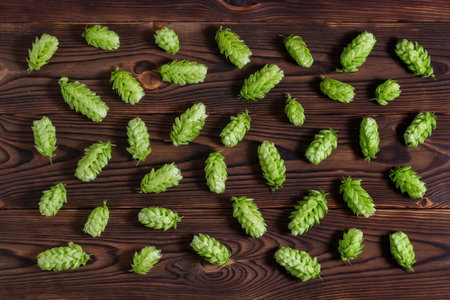 Hops cones on wooden background. background pattern hop