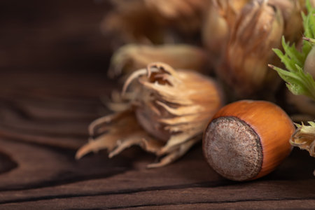 Organic fresh hazelnut on wooden background close up.