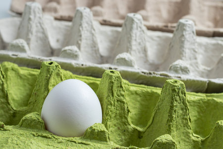 Single egg in paper egg tray close-upの写真素材