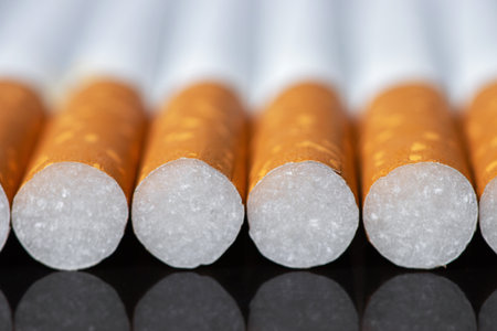 Stacked Filter Cigarettes, Macro Closeup Pattern, Smoking Addiction Concept, Large Detailed Horizontal Multiple Cigarette Stack Background.の写真素材