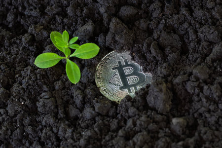 Bitcoin coin in the ground and leaves grow. conceptの写真素材