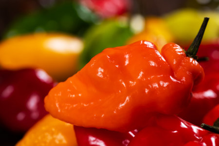 Colorful green, red and yellow pepper paprika background.の写真素材