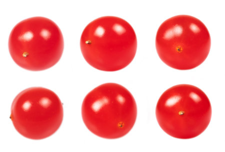 Collection Red berries of Viburnum. Arrowwood. isolated on white background.の写真素材