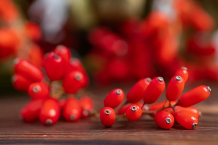 Barberry, Berberis vulgaris, branch with natural fresh ripe red berries on wooden background. Red ripe berries and colorful red and yellow leaves on berberis branch with green backgroundの写真素材