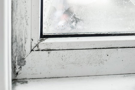 Drops of condensate and black mold on a substandard metal-plastic window. Plastic. Ecology,