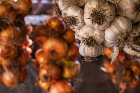 Garlic and onion. Wreaths. Rich harvest. Agriculture and farmingの写真素材