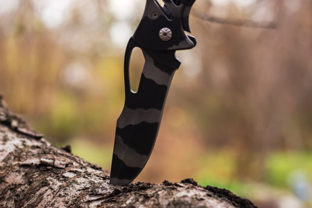 Tactical knife stuck in a tree stump in a forest.の写真素材