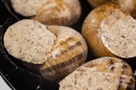 frozen snails in the supermarket as a texture,の写真素材