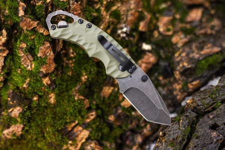 Knife stuck in a tree stump in a forest.の写真素材