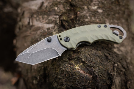 tactical knife is stuck trunk fallen tree in the forest.の写真素材