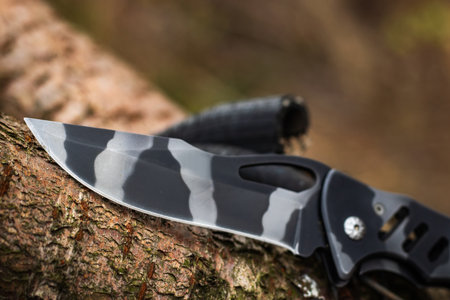 tactical knife on tree in the forest.の写真素材