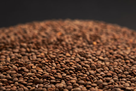 Brown lentils, The lentil Lens culinaris or Lens esculenta, an edible legume. It is an annual plant known for its lens-shaped seeds, the largest producer is Canada, pile of dark grains lentilの写真素材