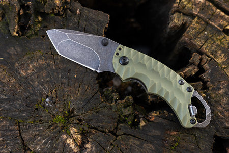 tactical knife is stuck trunk fallen tree in the forest.の写真素材