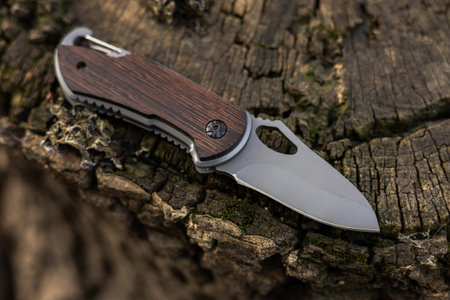 tactical knife on tree in the forest.の写真素材