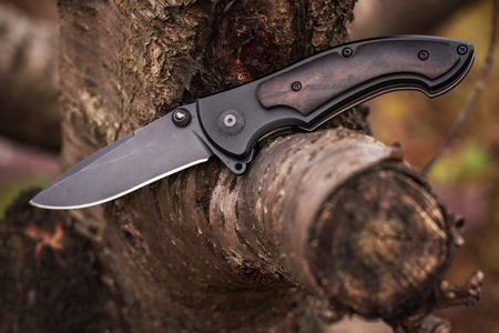 tactical knife on tree in the forest.