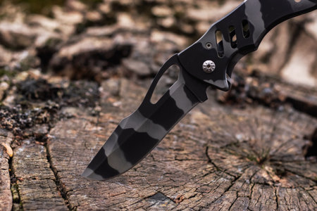 Tactical knife stuck in a tree stump in a forest.の写真素材