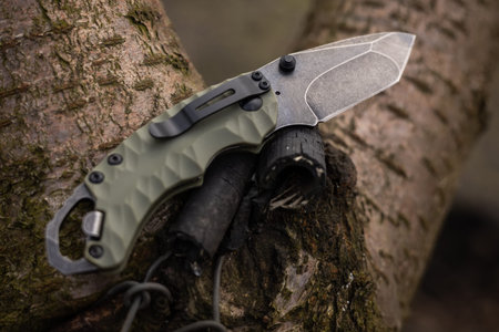 tactical knife is stuck trunk fallen tree in the forest.
