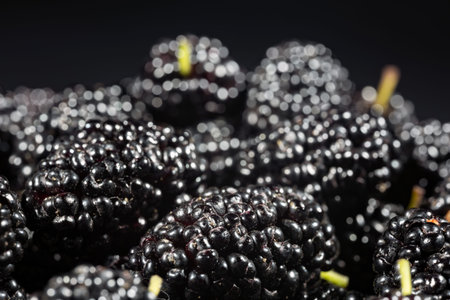 Sweet berries of black mulberry on black backgrounds.