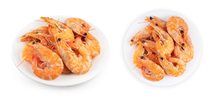 Steamed shrimps. Seafood, shellfish. Shrimps prawns on plate. isolated on white background.の写真素材