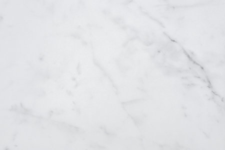 White gray marble seamless glitter texture background, counter top view of tile stone floor in natural pattern.の写真素材