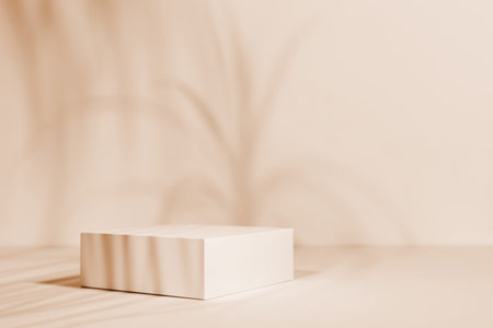 Empty mockup product display podium background.の写真素材