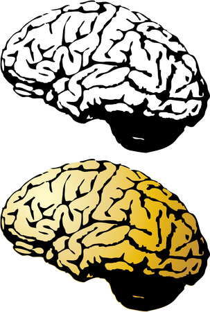 the vector human brain setのイラスト素材