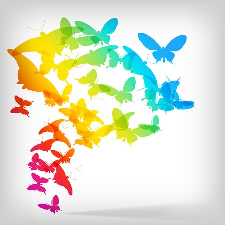 Colorful Background with Butterfly - Vector Illustrationのイラスト素材