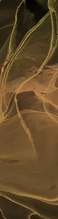 Elegant banner template design with color paint brush elements. Abstract decoration. Vector...