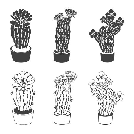Vector collection of hand drawn cactus with flower sketch set collection in doodle style isolated on a white background.のイラスト素材