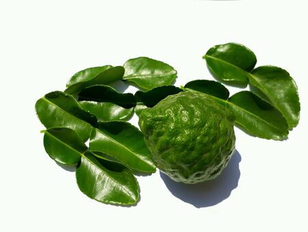Closeup top view of bergamot and leafs on white background.の素材