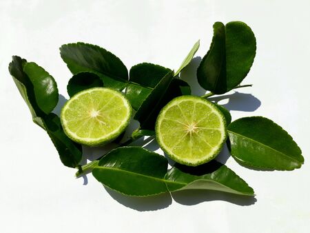 Closeup top view of bergamot and leafs on white background.の素材