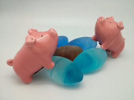 two little pig looking up the skyの素材