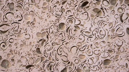 The texture of the stone from the sedimentary deposits of the Caspian Sea used for cladding buildingsの写真素材