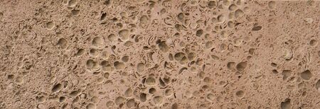 The texture of the stone from the sedimentary deposits of the Caspian Sea used for cladding buildingsの写真素材
