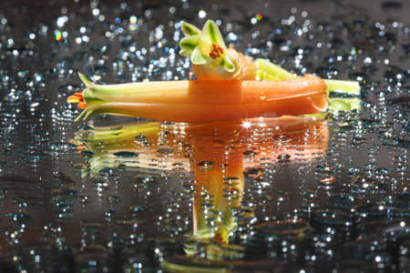 aloe distans,Gran Canaria,Spainの写真素材