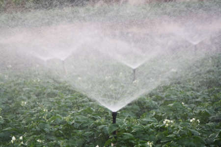 water sprinklerの写真素材
