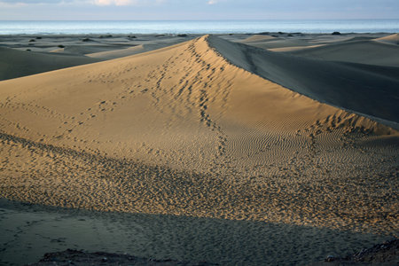 dunes,Maspalomas,Gran Canaria