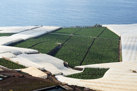 Galdar,Gran Canaria,Spainの写真素材