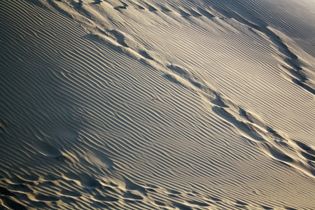 dunes,Maspalomas,Gran Canariaの写真素材