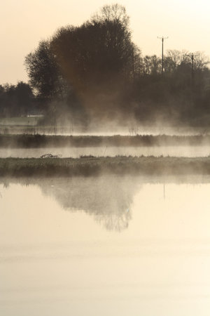 fish pond,Cadolzburg,Germany