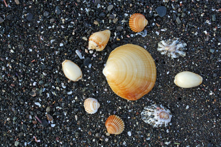 beach near Las Palmas,Gran Canaria,Spain